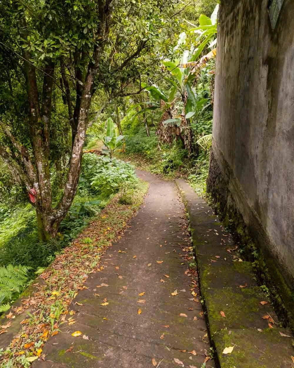 Er va xotin ortasidagi kamerada birinchi marta jinsiy aloqa